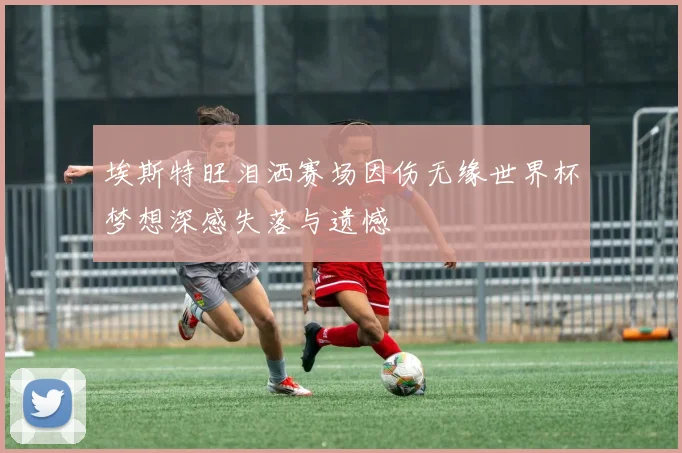 埃斯特旺泪洒赛场因伤无缘世界杯梦想深感失落与遗憾